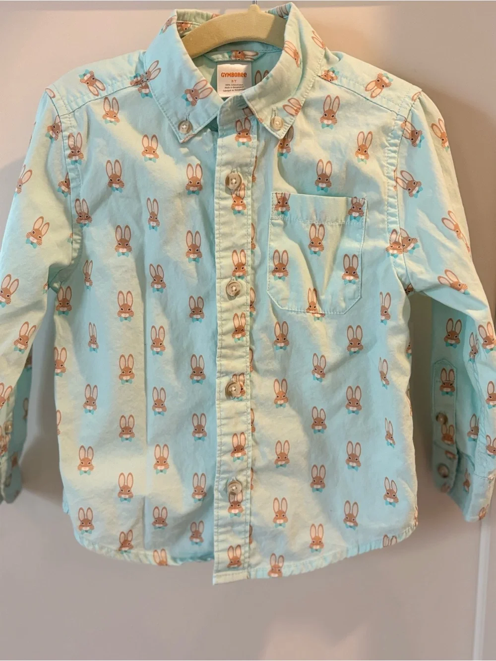 Gymboree Mint Green Bunny Print Button-Up Shirt and Chino Pants